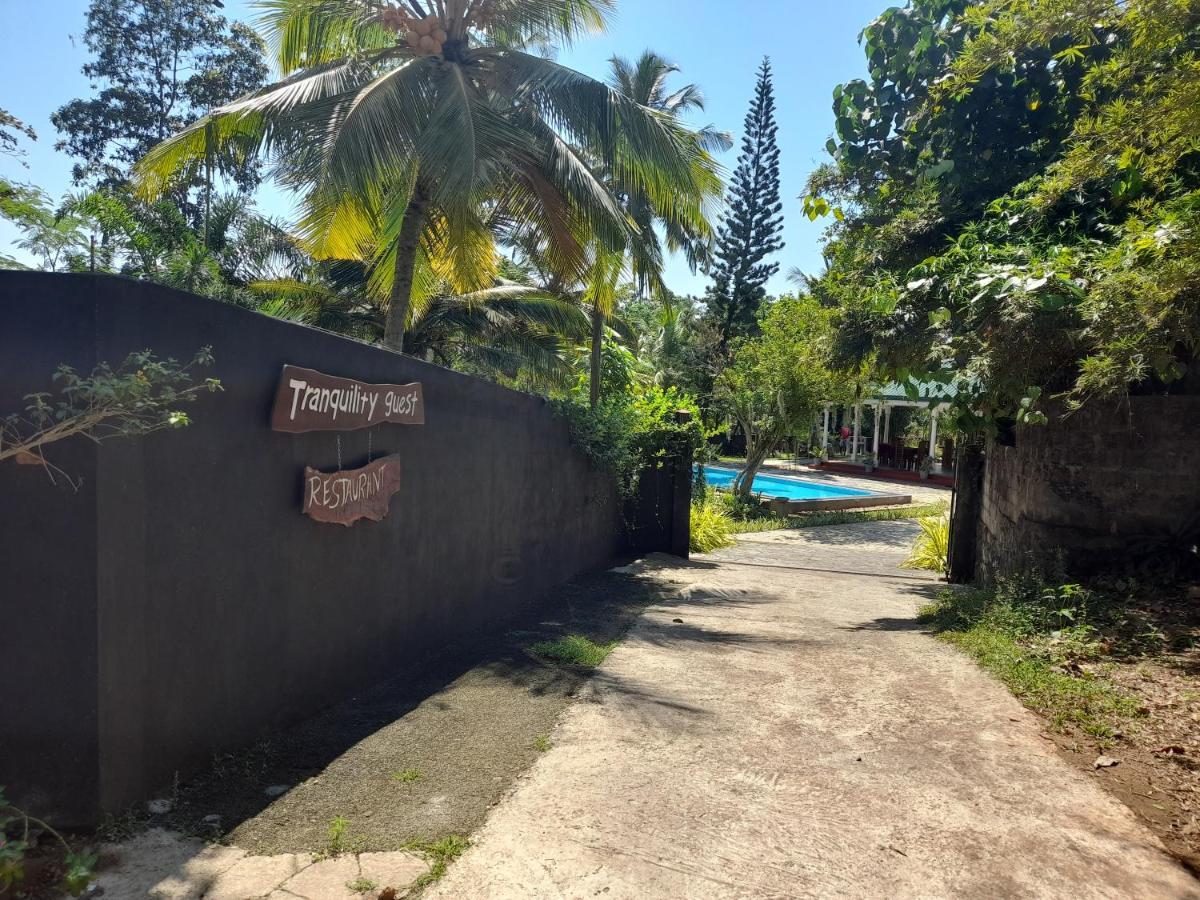 Tranquility Guest House ヒッカドゥワ エクステリア 写真