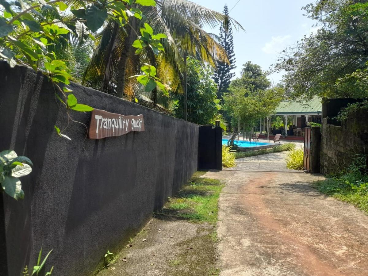 Tranquility Guest House ヒッカドゥワ エクステリア 写真