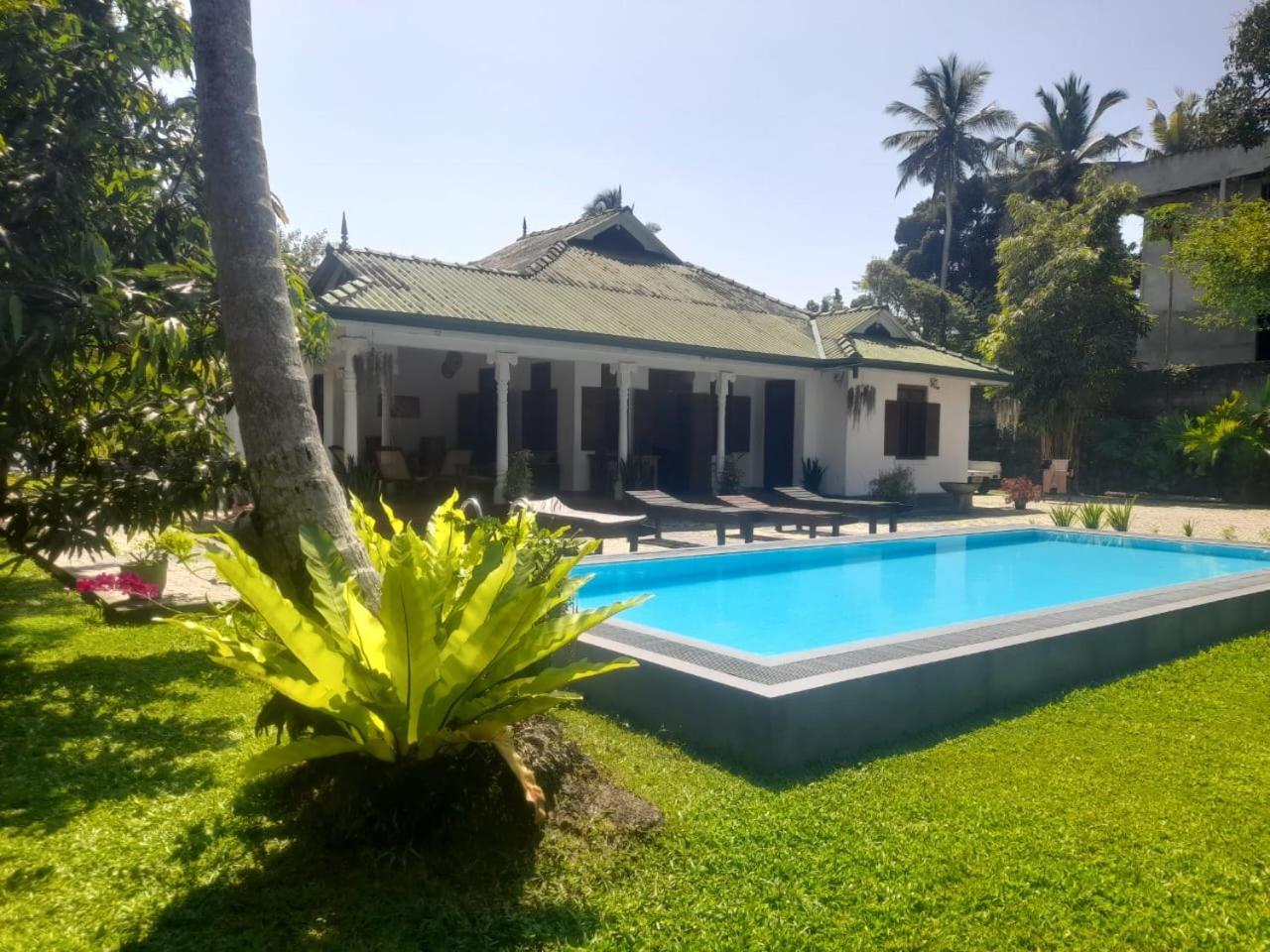 Tranquility Guest House ヒッカドゥワ エクステリア 写真
