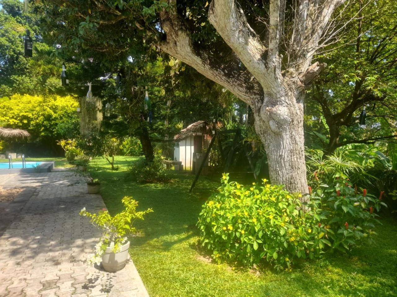 Tranquility Guest House ヒッカドゥワ エクステリア 写真