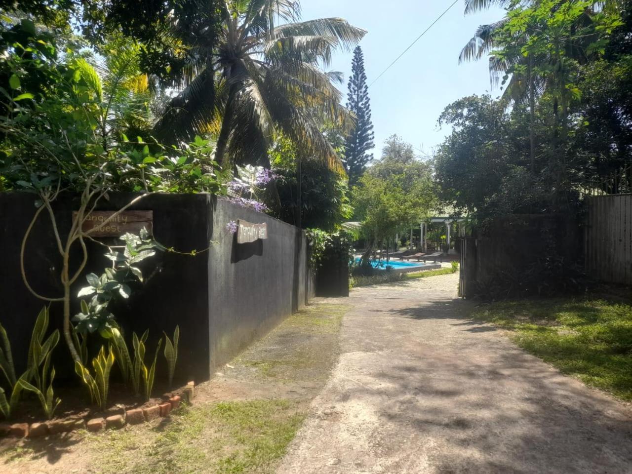 Tranquility Guest House ヒッカドゥワ エクステリア 写真