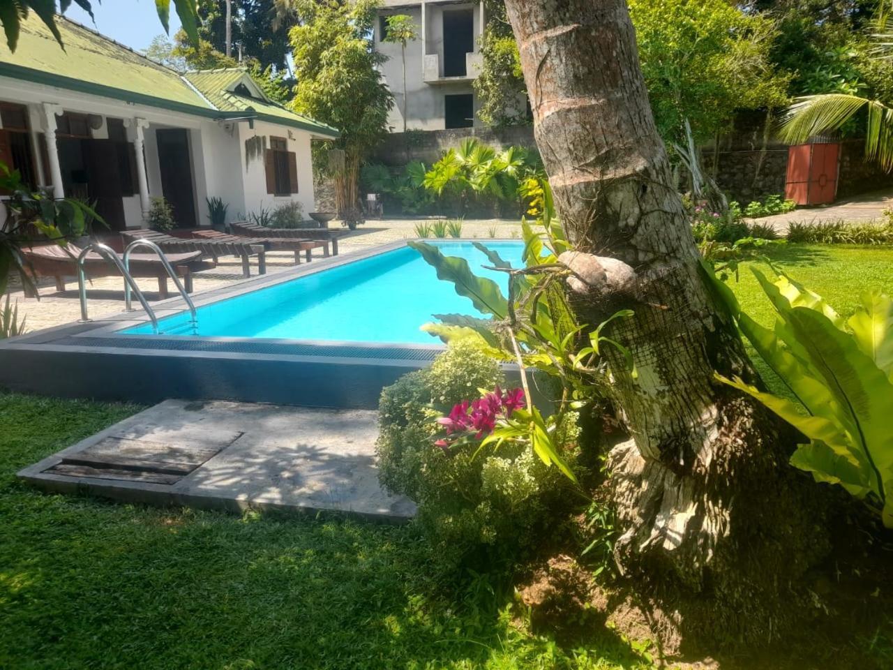 Tranquility Guest House ヒッカドゥワ エクステリア 写真
